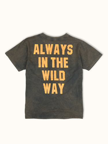 Remera Acid College marrón acid wash espalda - Demons & Machines