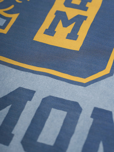 Remera Acid No One aero acid wash detalle estampa - Demons & Machines