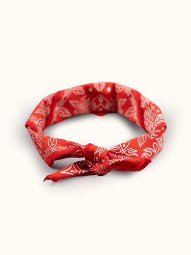 Pañuelo de la marca Demons & Machines confeccionado en voile liviano de algodón. Arte original de marca estampado al frente en serigrafía con tinta al agua, terminación de costura con overlock cerrado al tono. #color_rojo