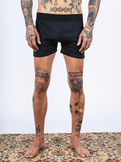BOXER ALBANY