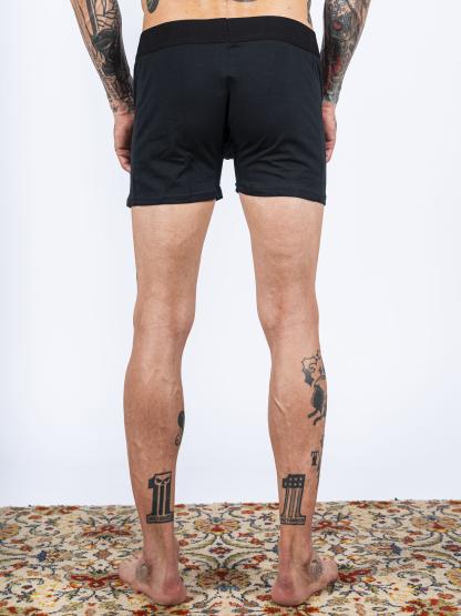 BOXER ALBANY