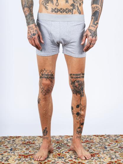 BOXER ALBANY