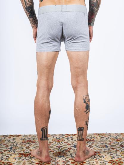 BOXER ALBANY