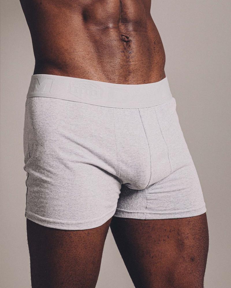 BOXER ALBANY