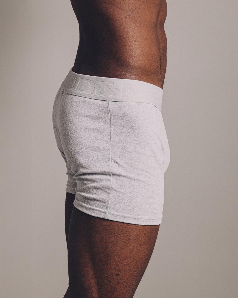 BOXER ALBANY