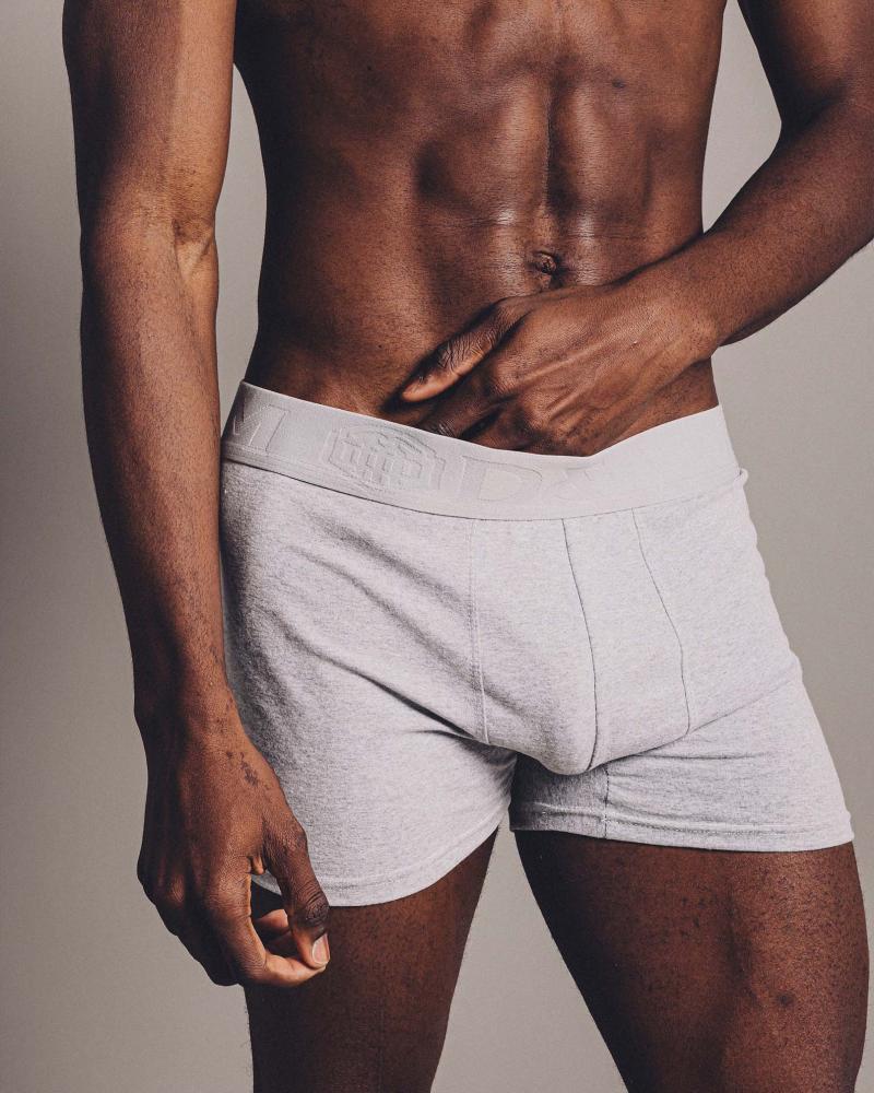 BOXER ALBANY