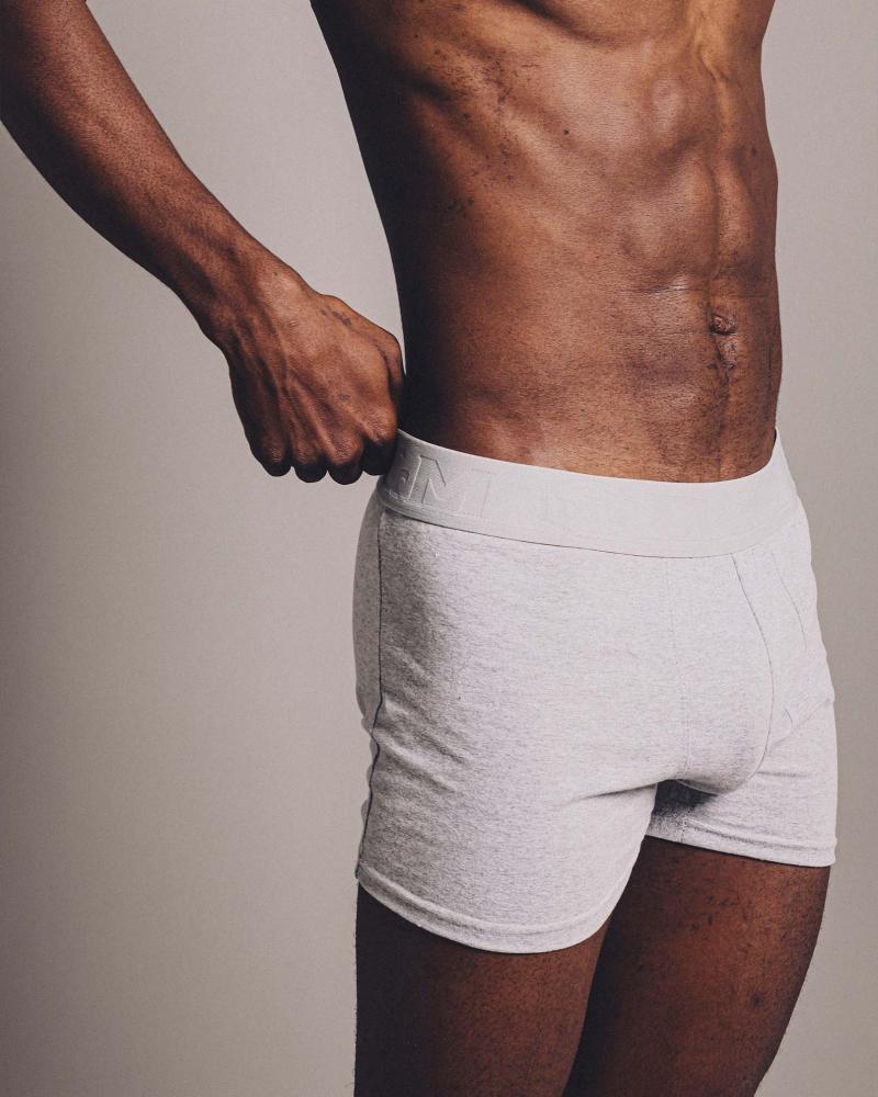 BOXER ALBANY